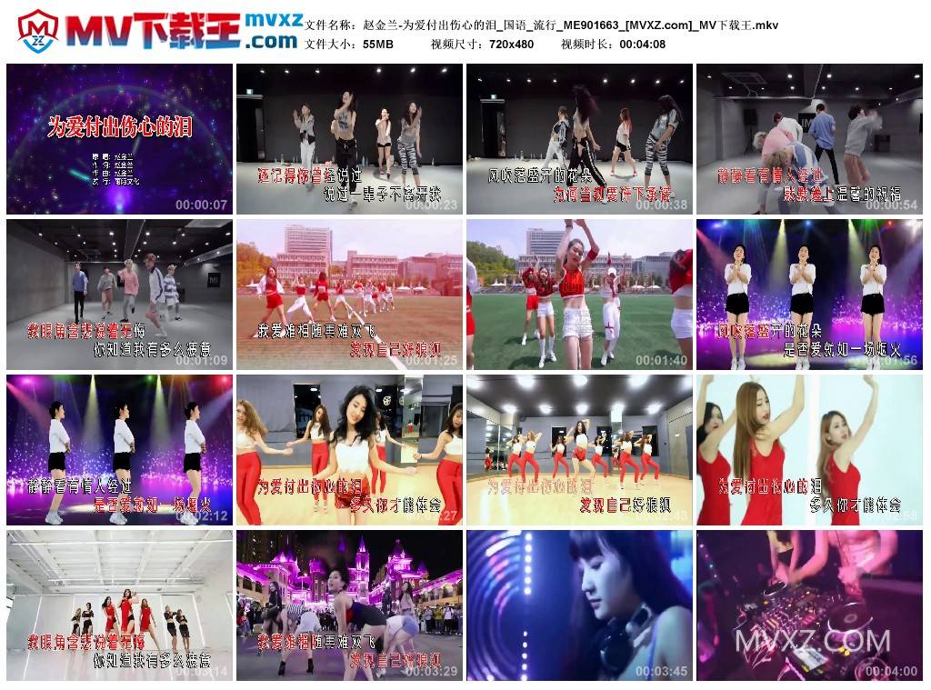 赵金兰-为爱付出伤心的泪_国语_流行_ME901663
